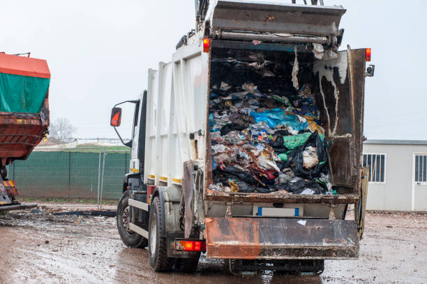 Best Carpet Removal and Disposal  in Murillo, TX